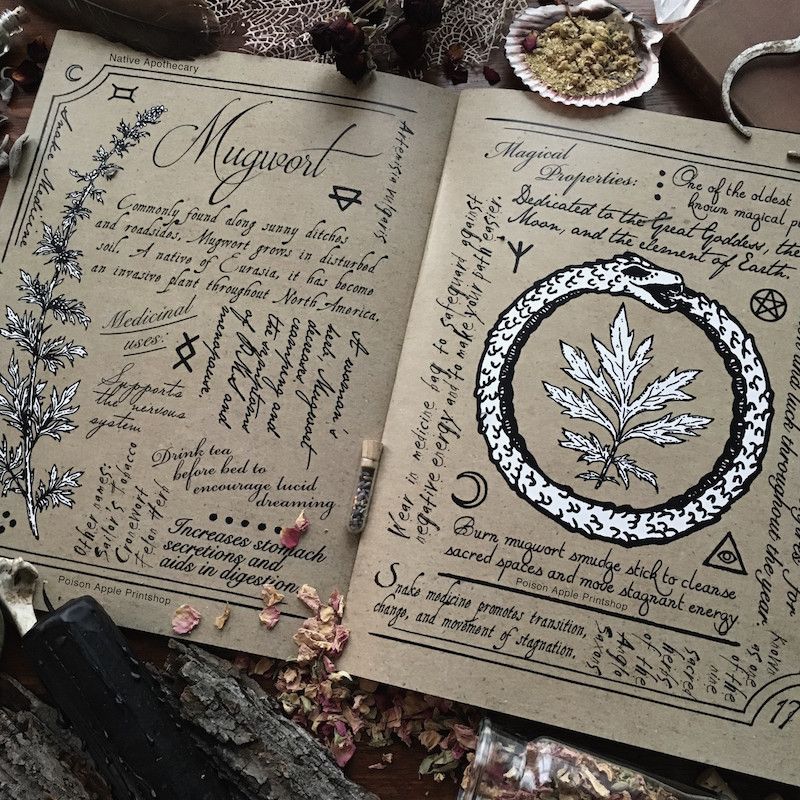 Livro das Sombras (BoS - Book of Shadows)